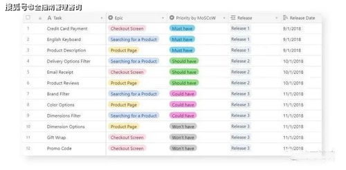 軟件產品開發產品路線圖 從概念到交付的全過程管理