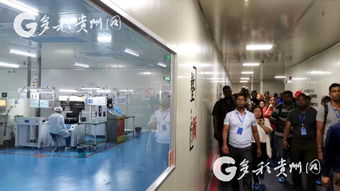 多彩貴州網 21國發展中國學員貴州“取經” 聚焦計算機信息技術研發新動態